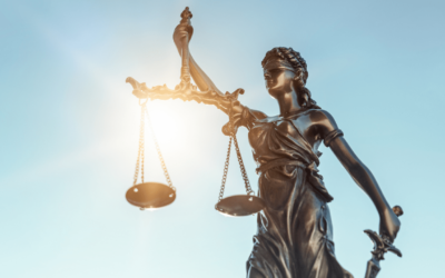 Court Updates with Rocco Galati